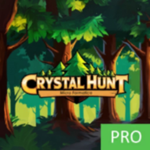 Crystal Hunt Action Game